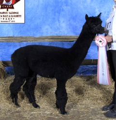 Description: Tammy-young.jpg